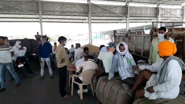 मंडी में हम्मालों की हड़ताल, Hammals strike in Mandi