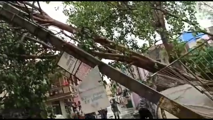 Poles fell in the storm in Kota