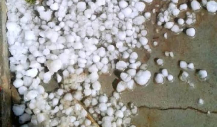 rain hailstorm in kota rajasthan, rabi crop damage