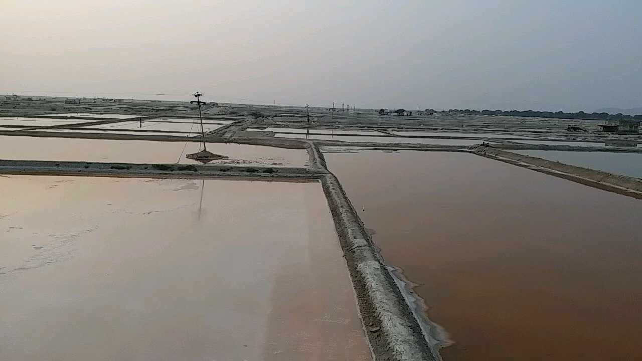 Salt Refinery in Nagaur, Corona update in Nagaur, नागौर में कोरोना अपडेट