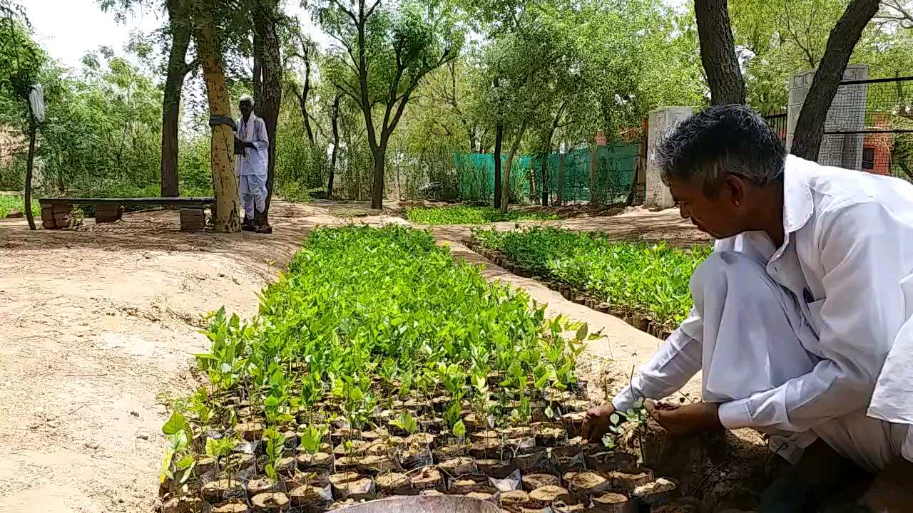 नागौर में मिशन मानसून, Mission monsoon in Nagaur