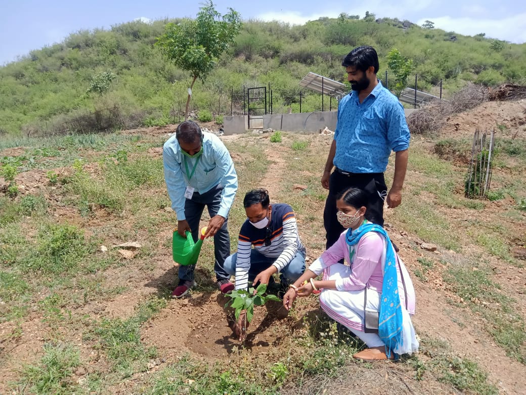 Rajasthan News,  Plantation in Alwar