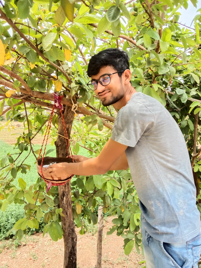 राजसमंद में परिंडे बंधे, Parinde tied in Rajsamand