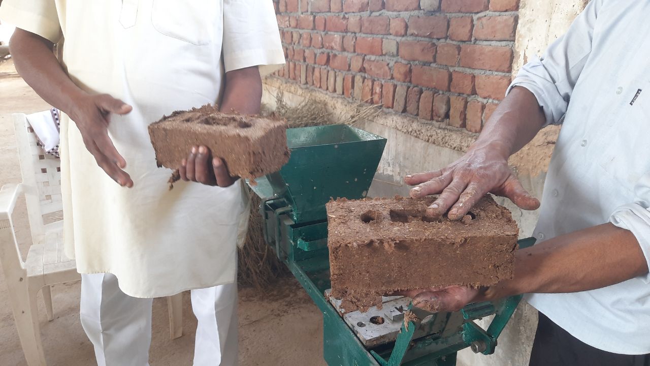 A man earning in lakh through cow in Rajasthan