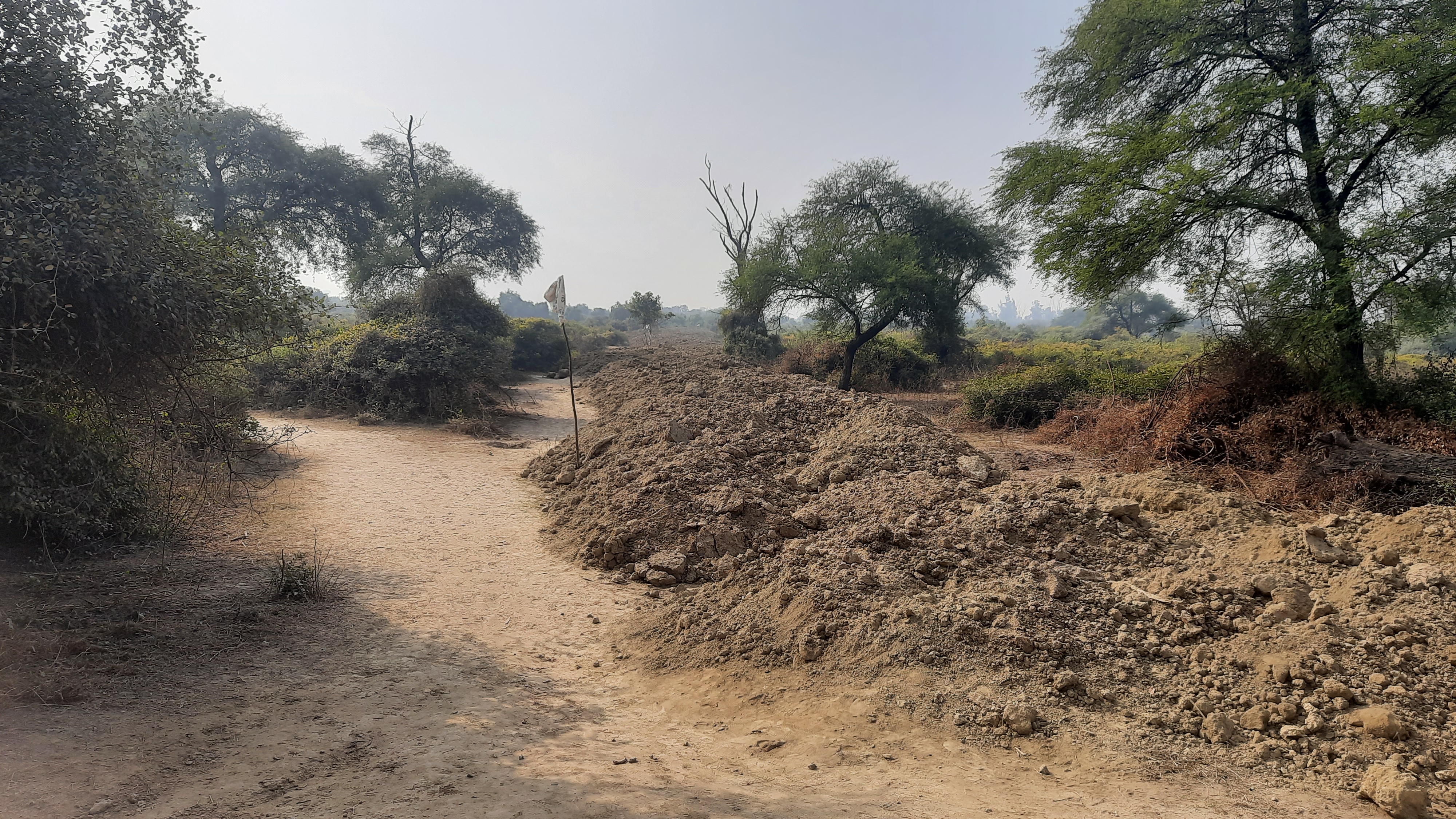 Development work in Ghana Bird Sanctuary