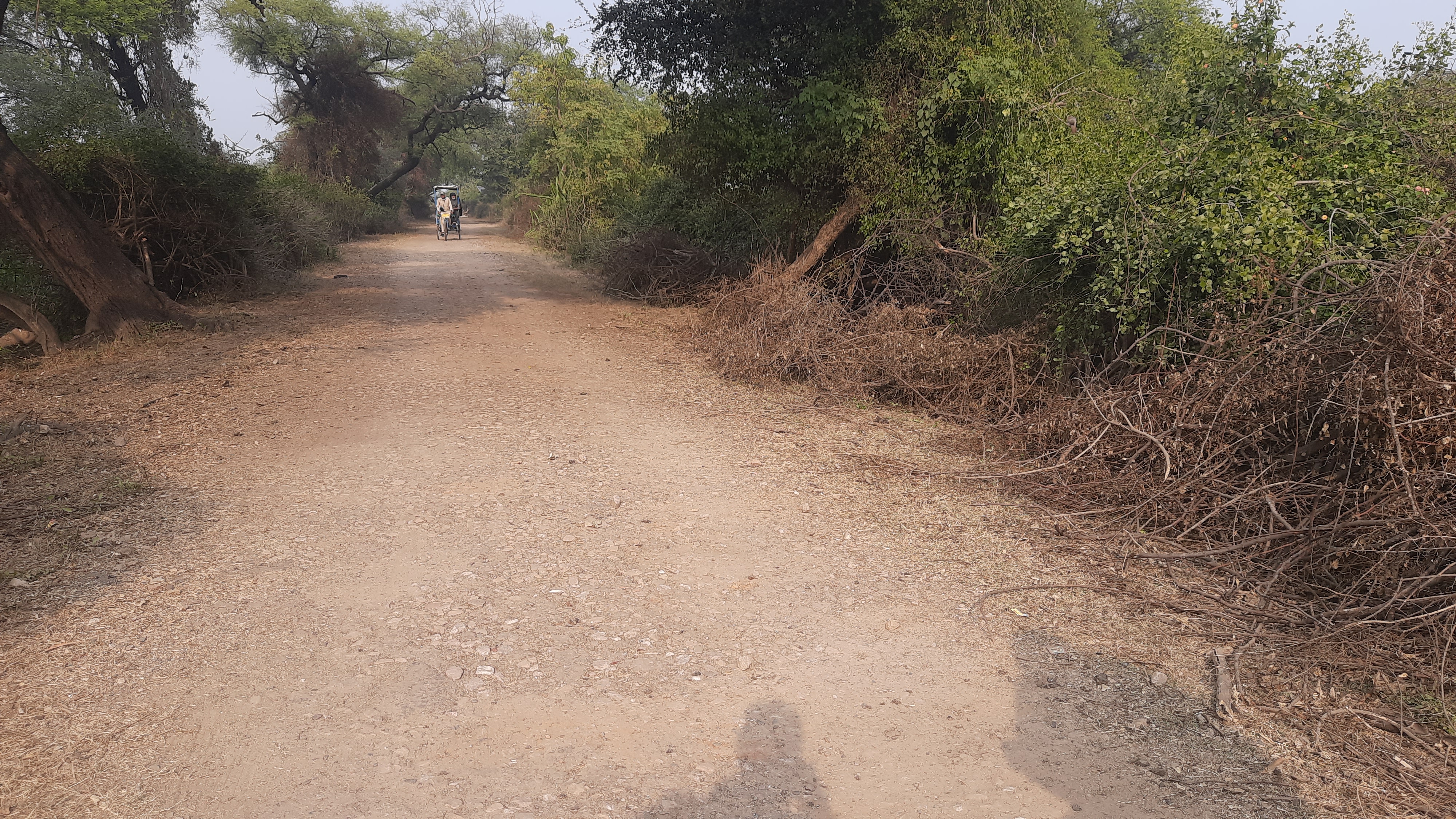 Development work in Ghana Bird Sanctuary