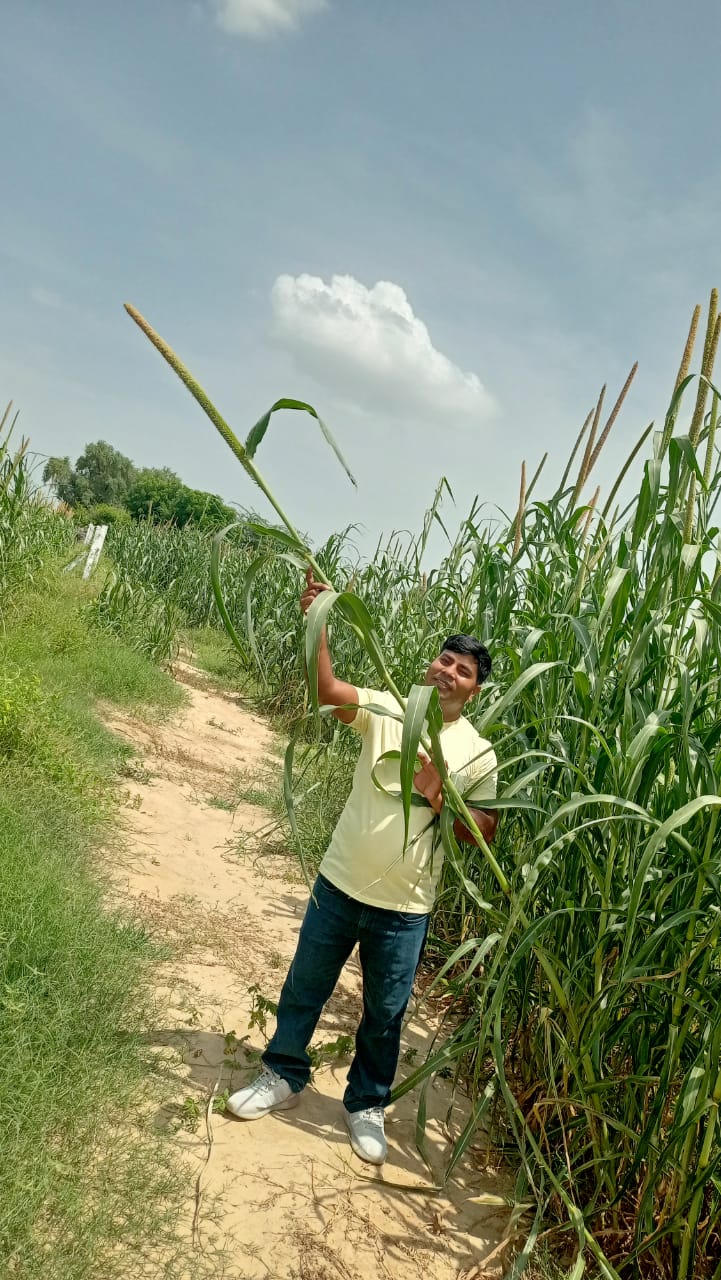 Bharatpur progressive farmer Dinesh Kumar