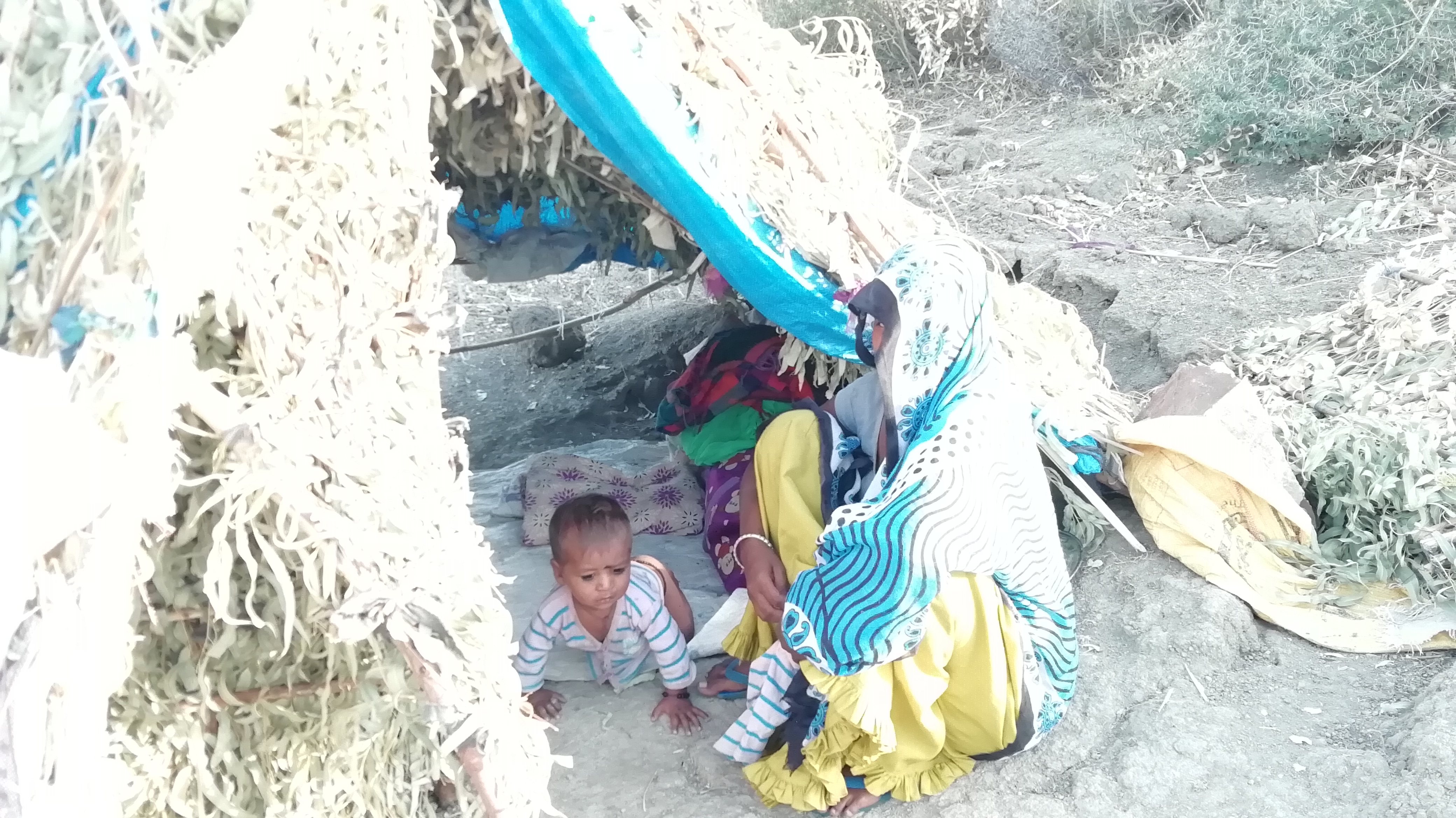 Jhabua's tribal family stranded in Rajasthan