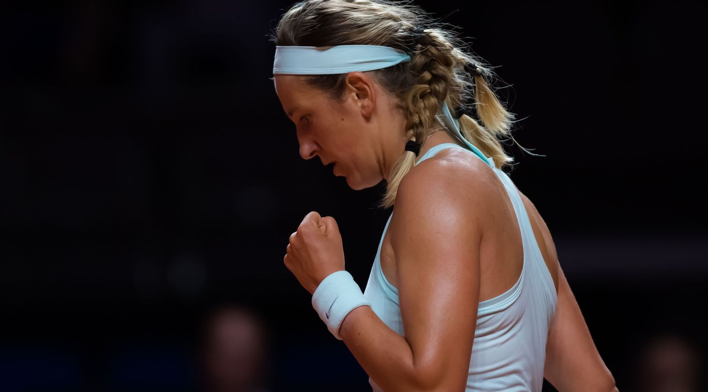 Victoria Azarenka, Serena Williams, US Open, New York