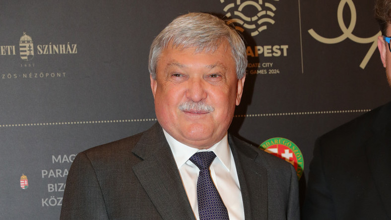 UEFA Vice President Sandor Csanyi