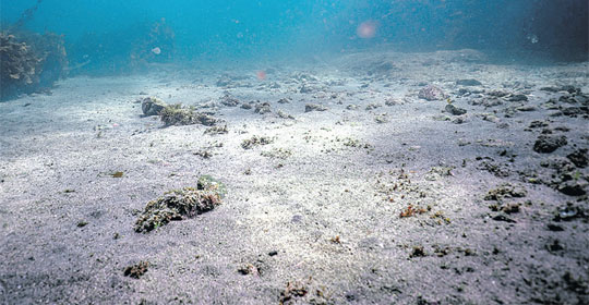 A scene of deep ocean
