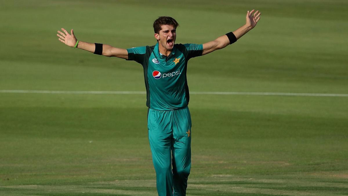 Shaheen Afridi