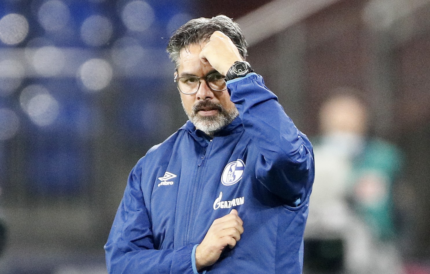 FC Schalke 04 coach David Wagner