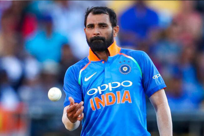 Mohammed Shami took 19 wickets in 14 matches in IPL.