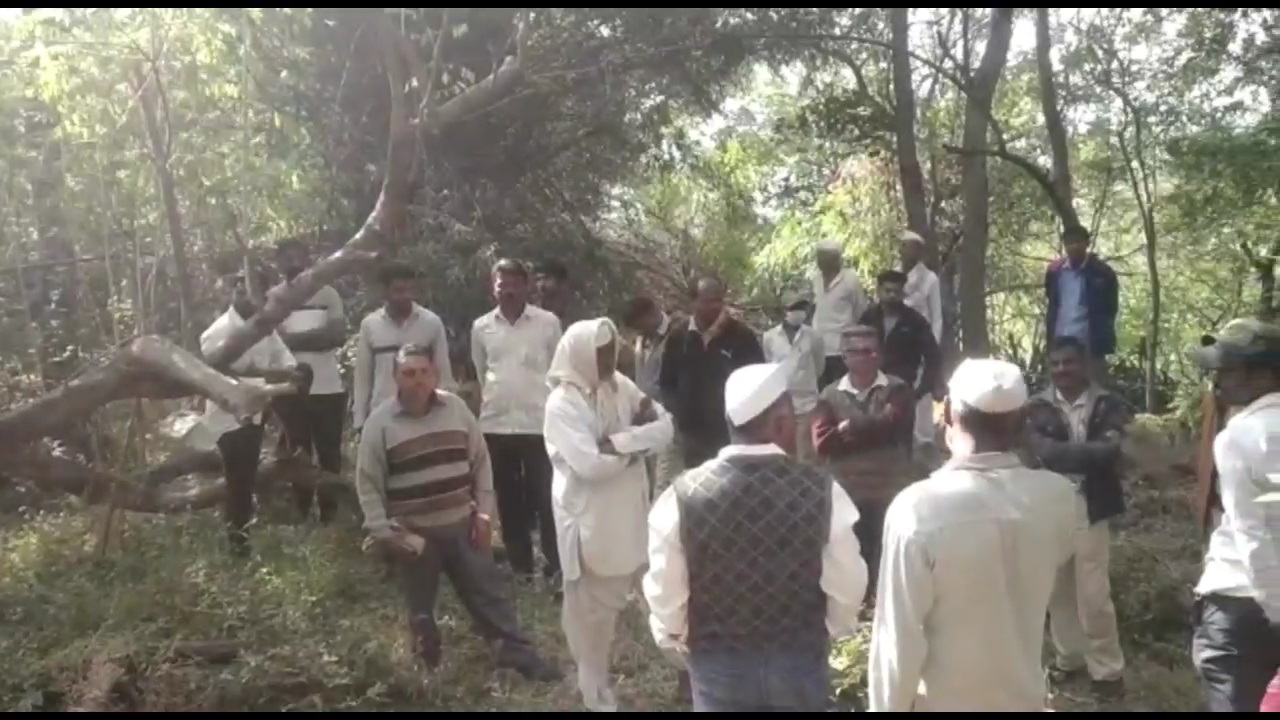 Leopard Attack On Women