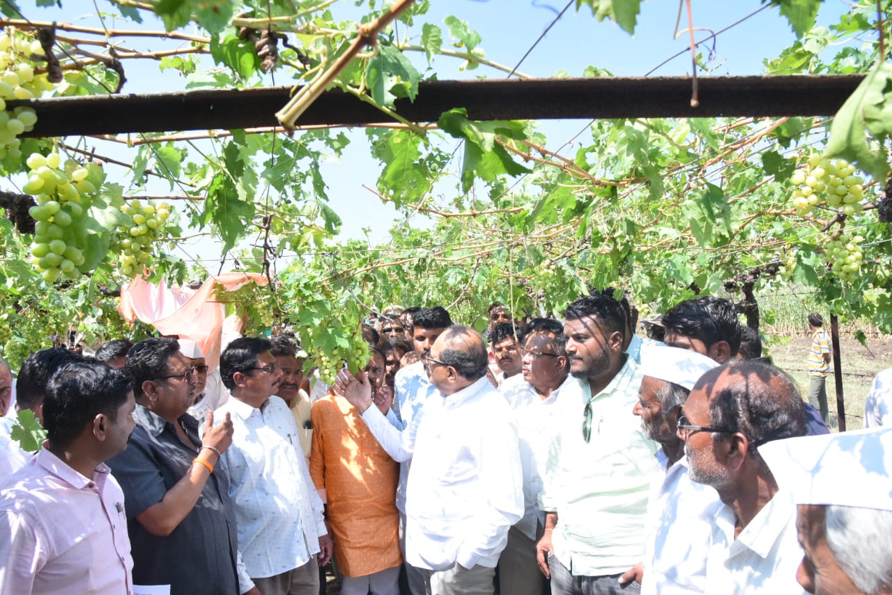 Vikhe Patil Visited Farmers In Ahmednagar