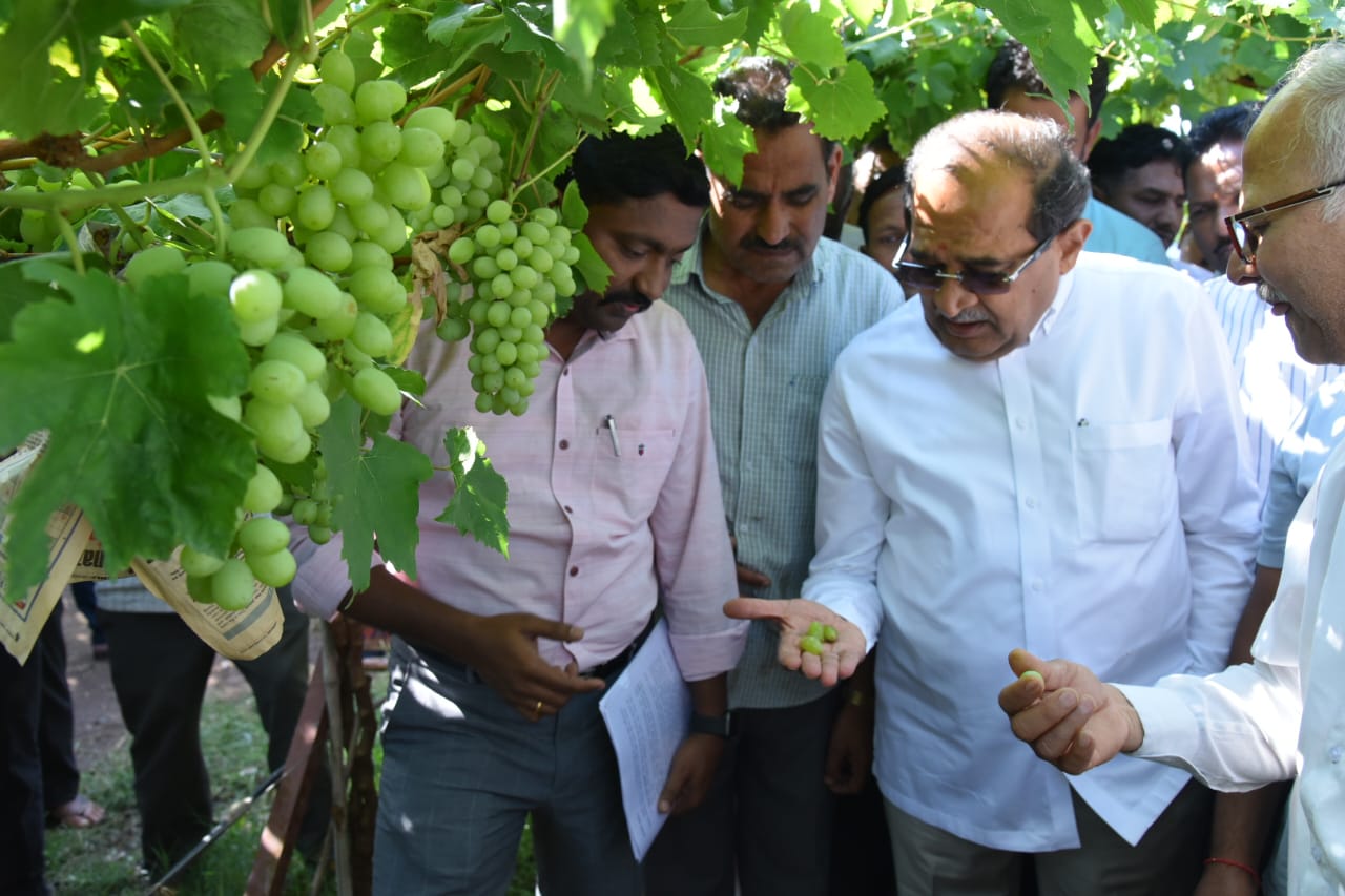 Vikhe Patil Visited Farmers In Ahmednagar