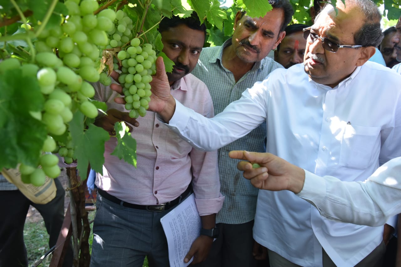 Vikhe Patil Visited Farmers In Ahmednagar