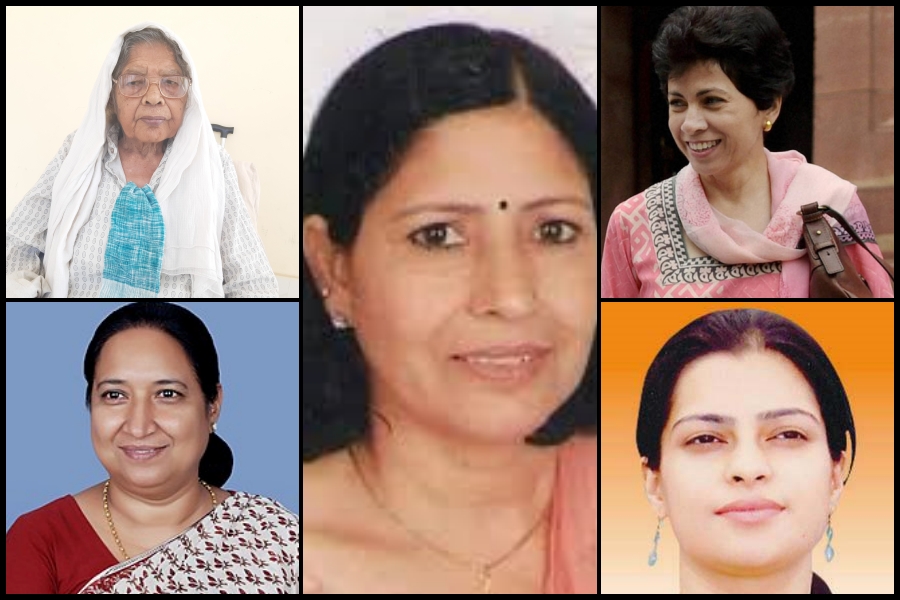 haryana female mp special report