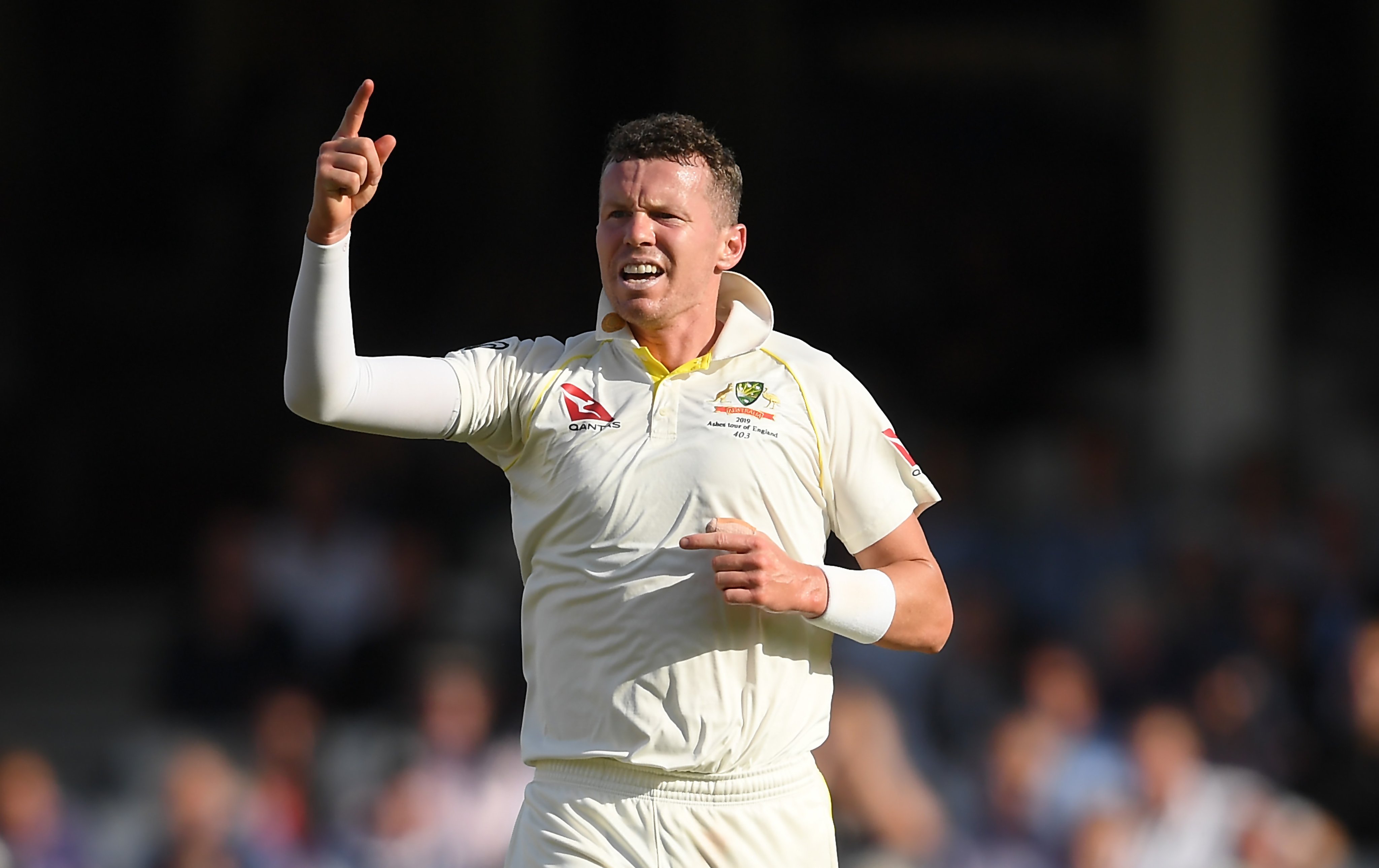 Australia pacer Peter Siddle bids adieu international cricket