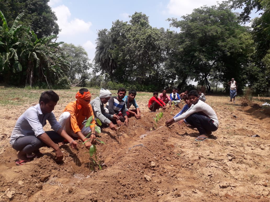 Srimaneshwar branch did plantation