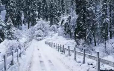 snowfall in himachal