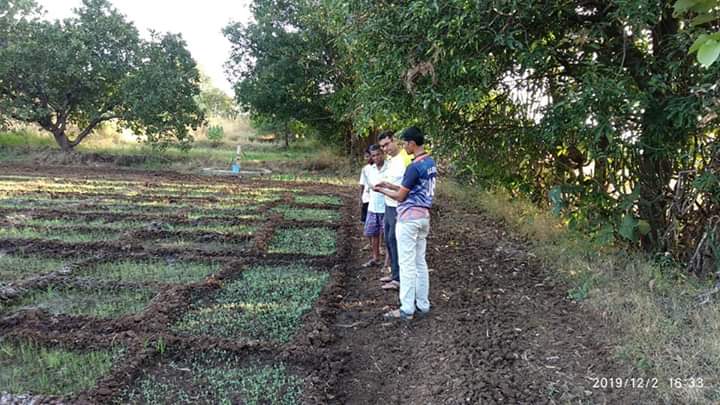 Maharashtra teacher starts 'school farm' to prevent migration