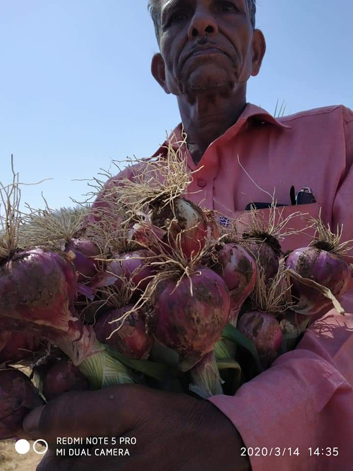 Maharashtra teacher starts 'school farm' to prevent migration