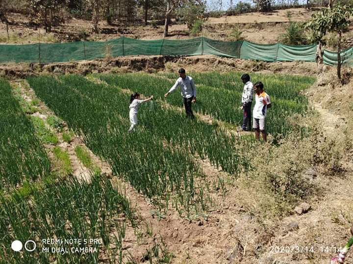 Maharashtra teacher starts 'school farm' to prevent migration