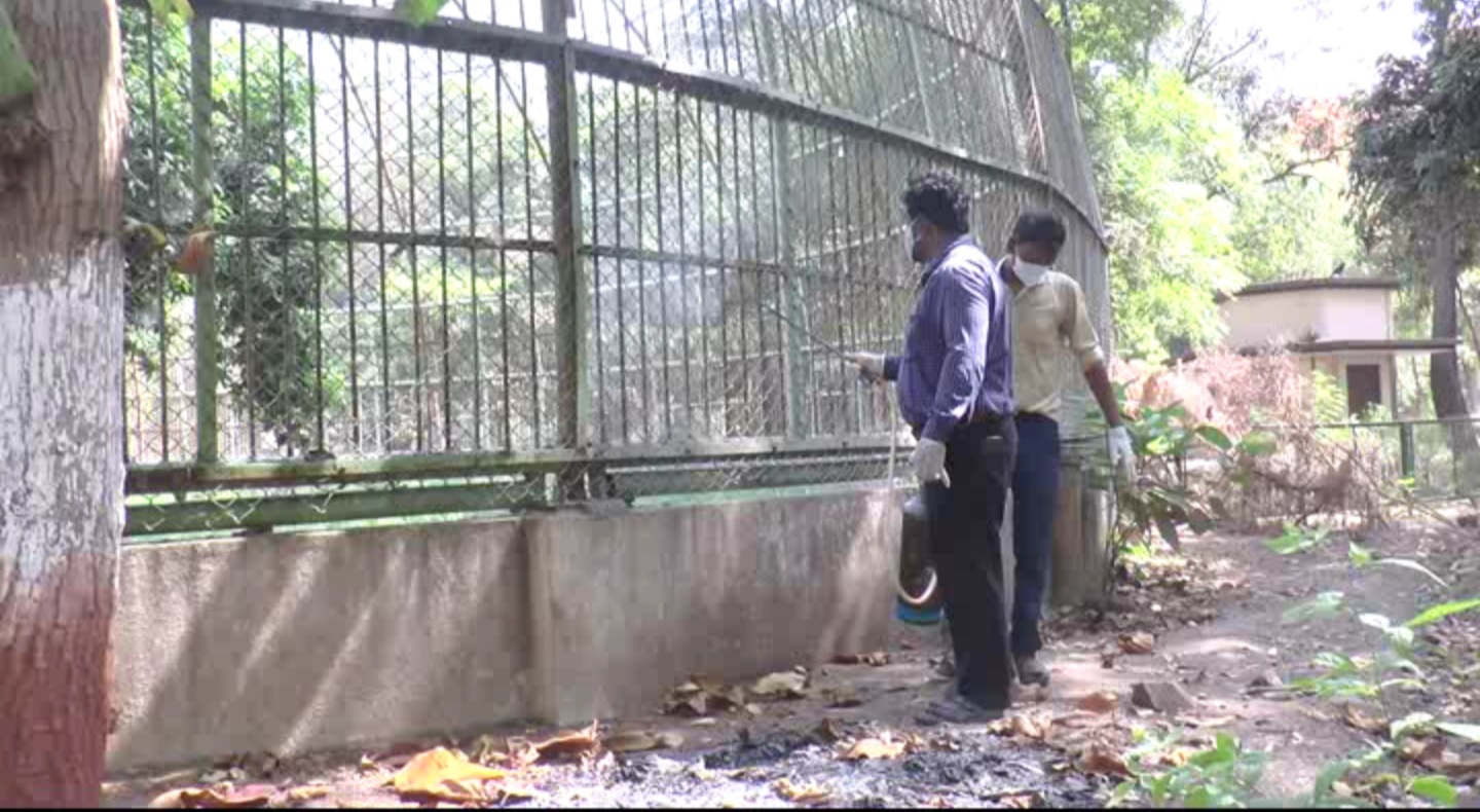 The Surat Zoo was closed for visitors