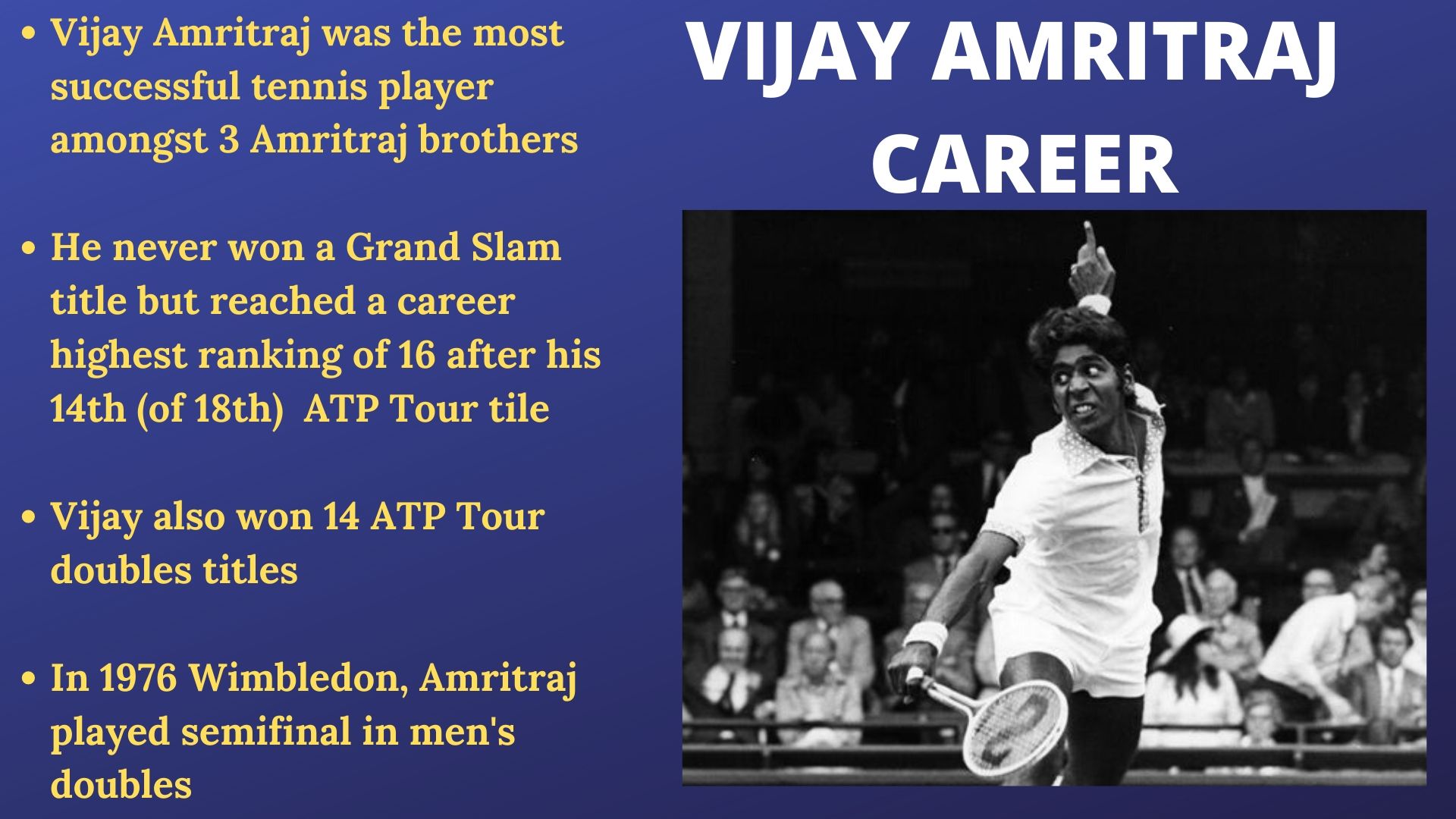 Vijay Amritraj's career