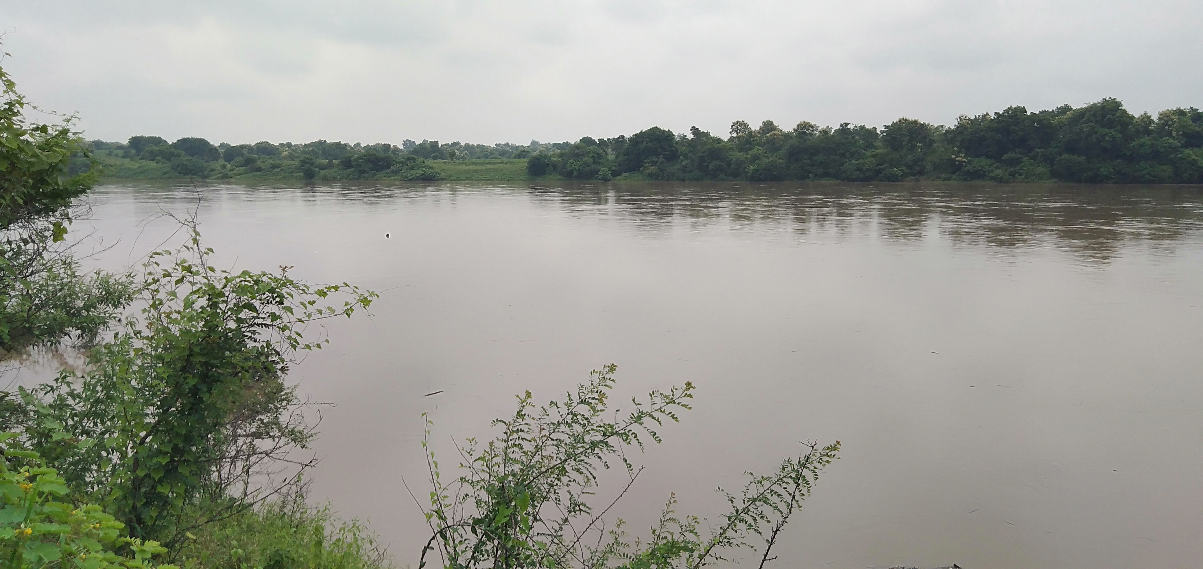 Heavy rains in adilabad district