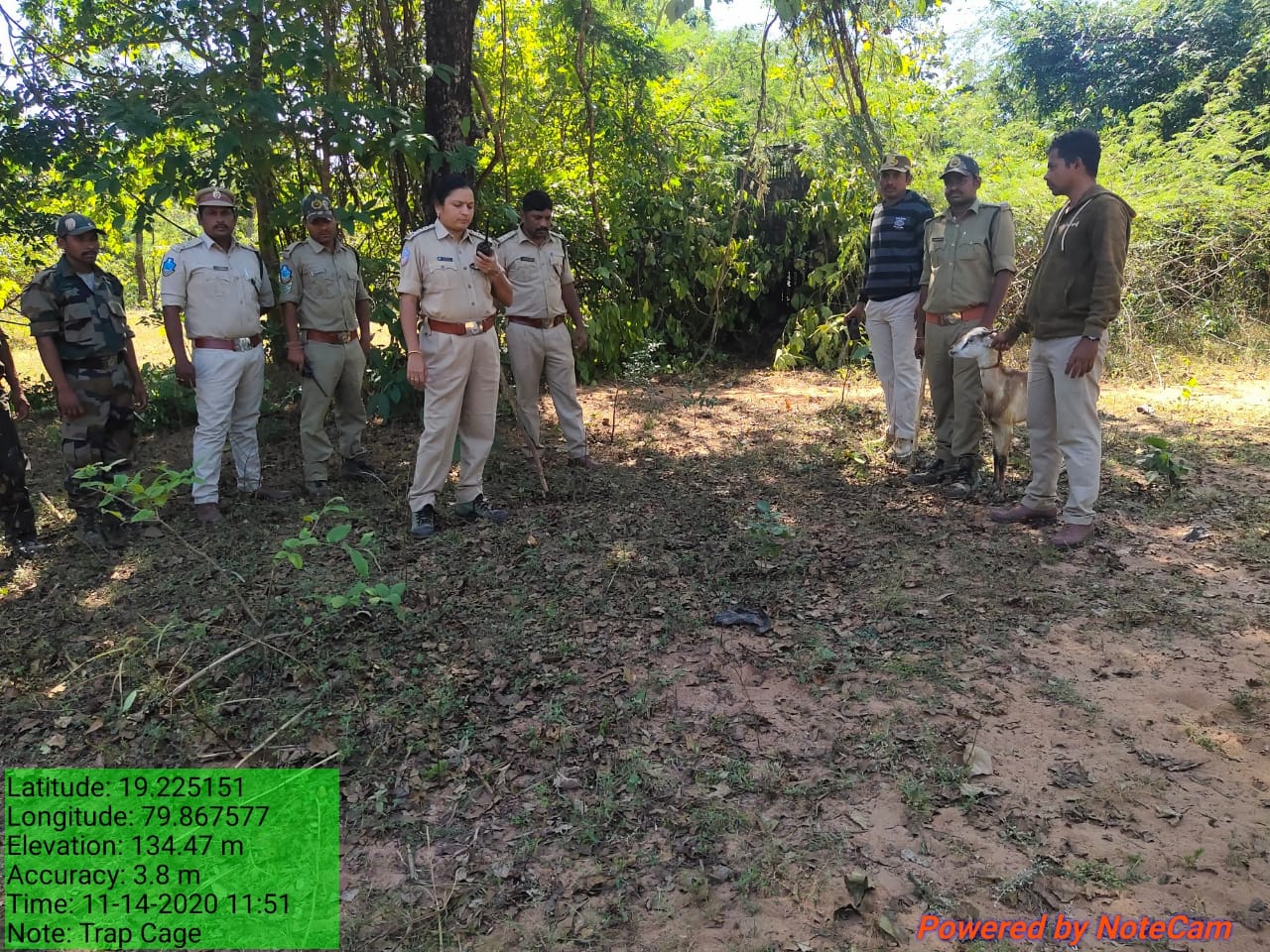 search continuing for tiger in digida forest