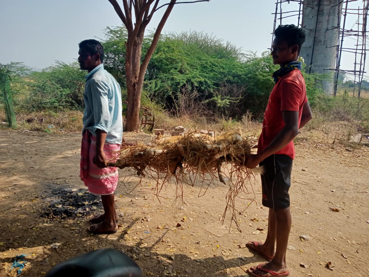 Funeral for the dog in the traditional manner In Mancherial district