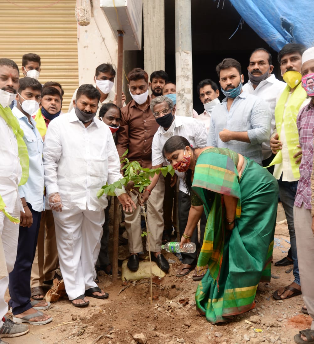 musheerabad mla distributed plants in bolakpur