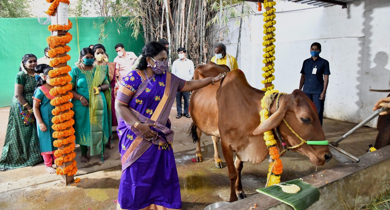 గోమాతతో గవర్నర్