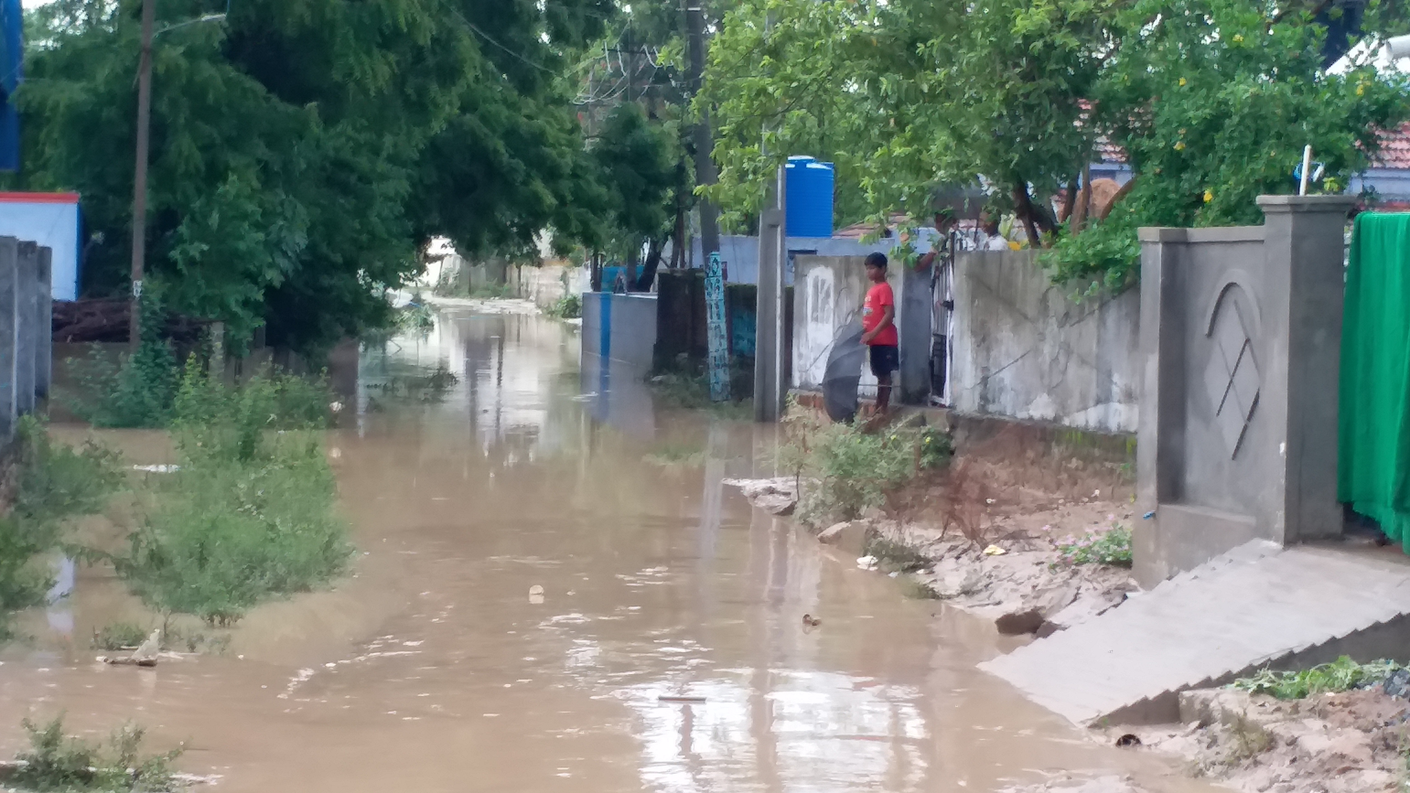 heavy rain manuguru of bhadradri district