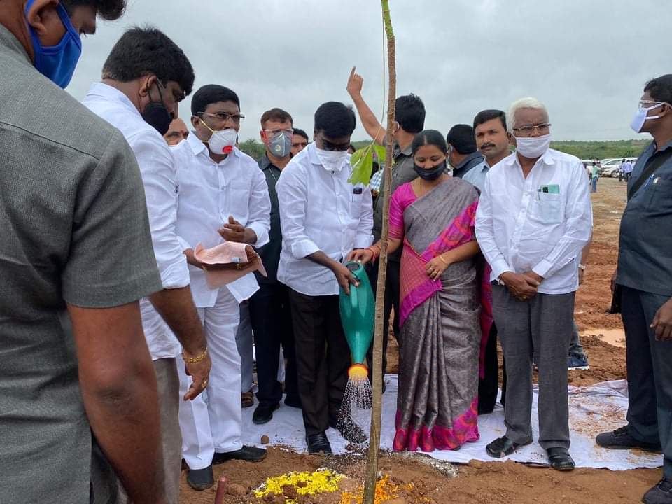 minister puvvada planted at singareni