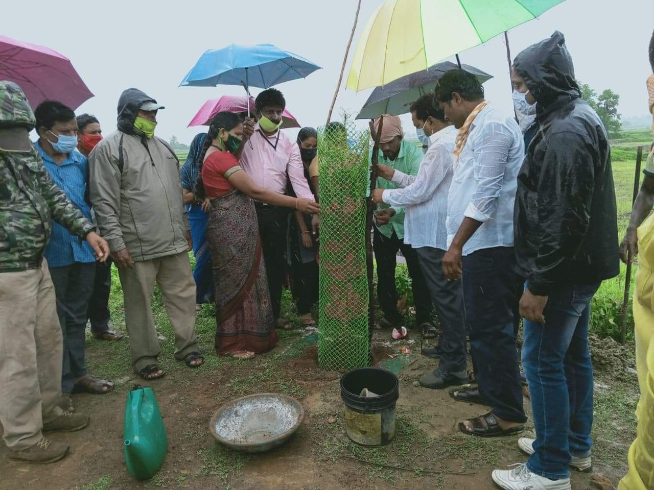 zp chairmen planted plants in heavy rain at mittapalli village