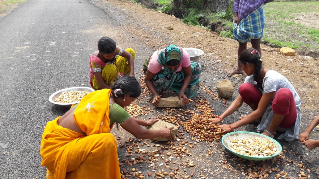 మహిళలకు ఇవే ఉపాధి