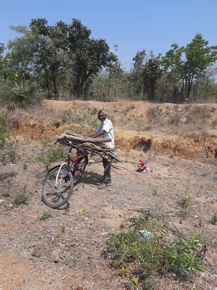 FORESTS CUT DOWNING IN LOCK DOWN TIME