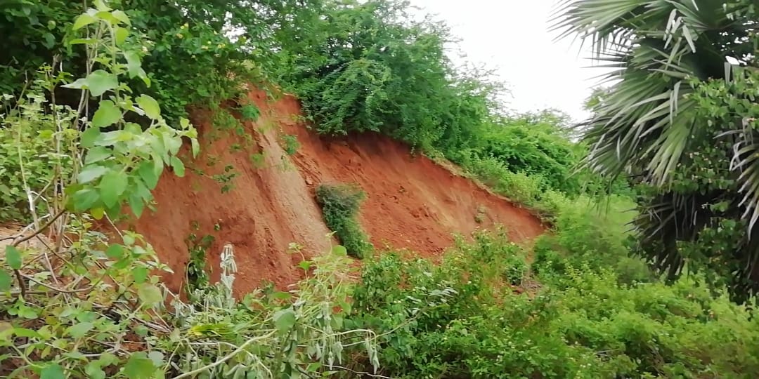 ఊర చెరువు కట్టకు ముప్పు.. ఆందోళనలో అన్నదాతలు