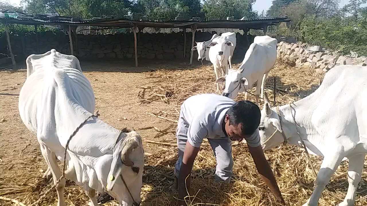 Organic Farming Jagtial