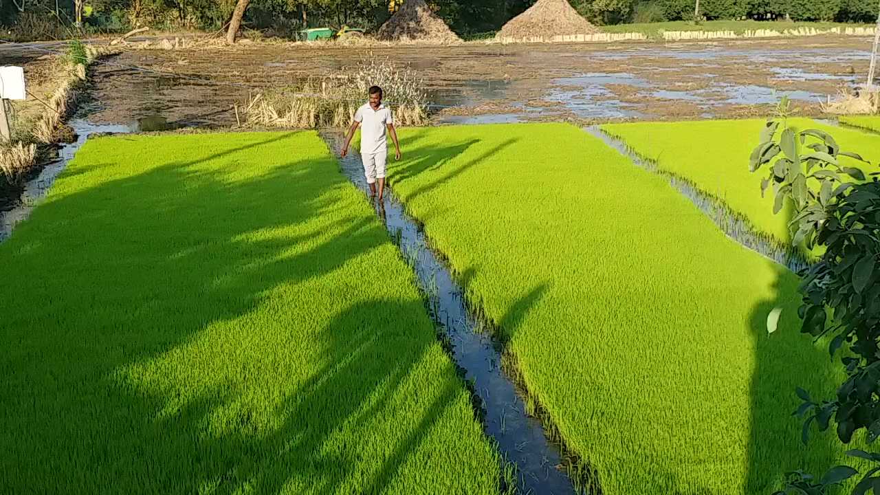 Organic Farming Jagtial