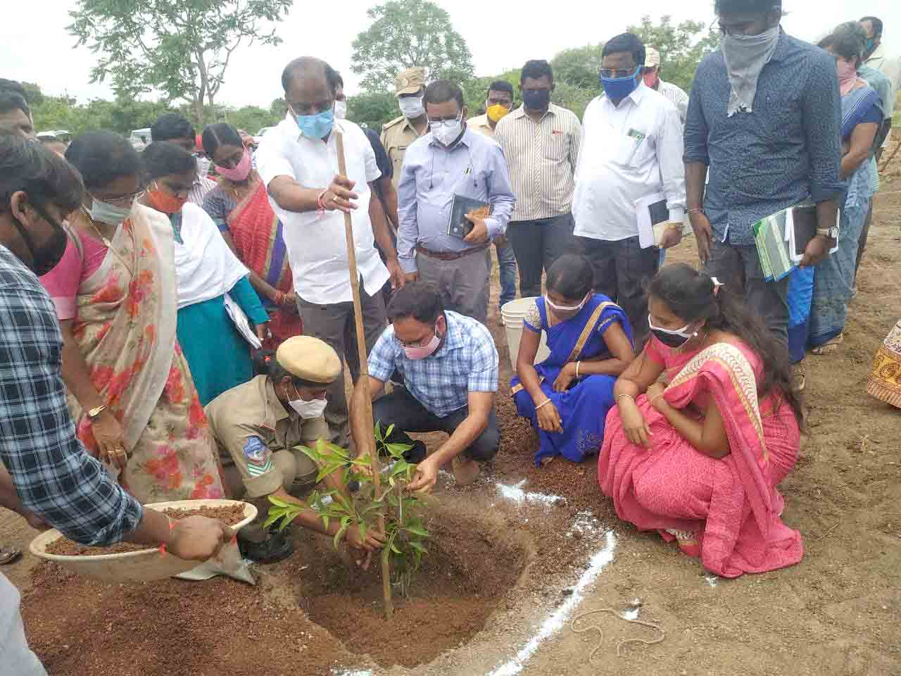 karimanagar collector shashanka participated in haritha haaram