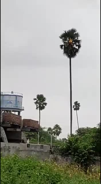 thunder storms in tadagonda village