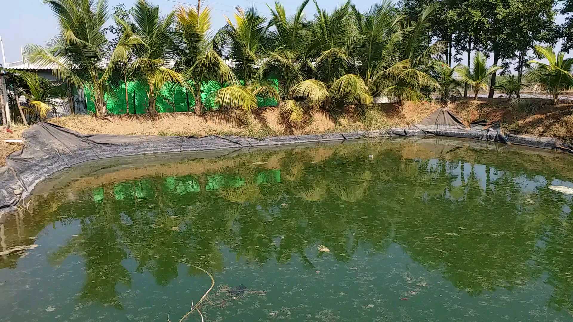 organic farming, jagtial, best farmer