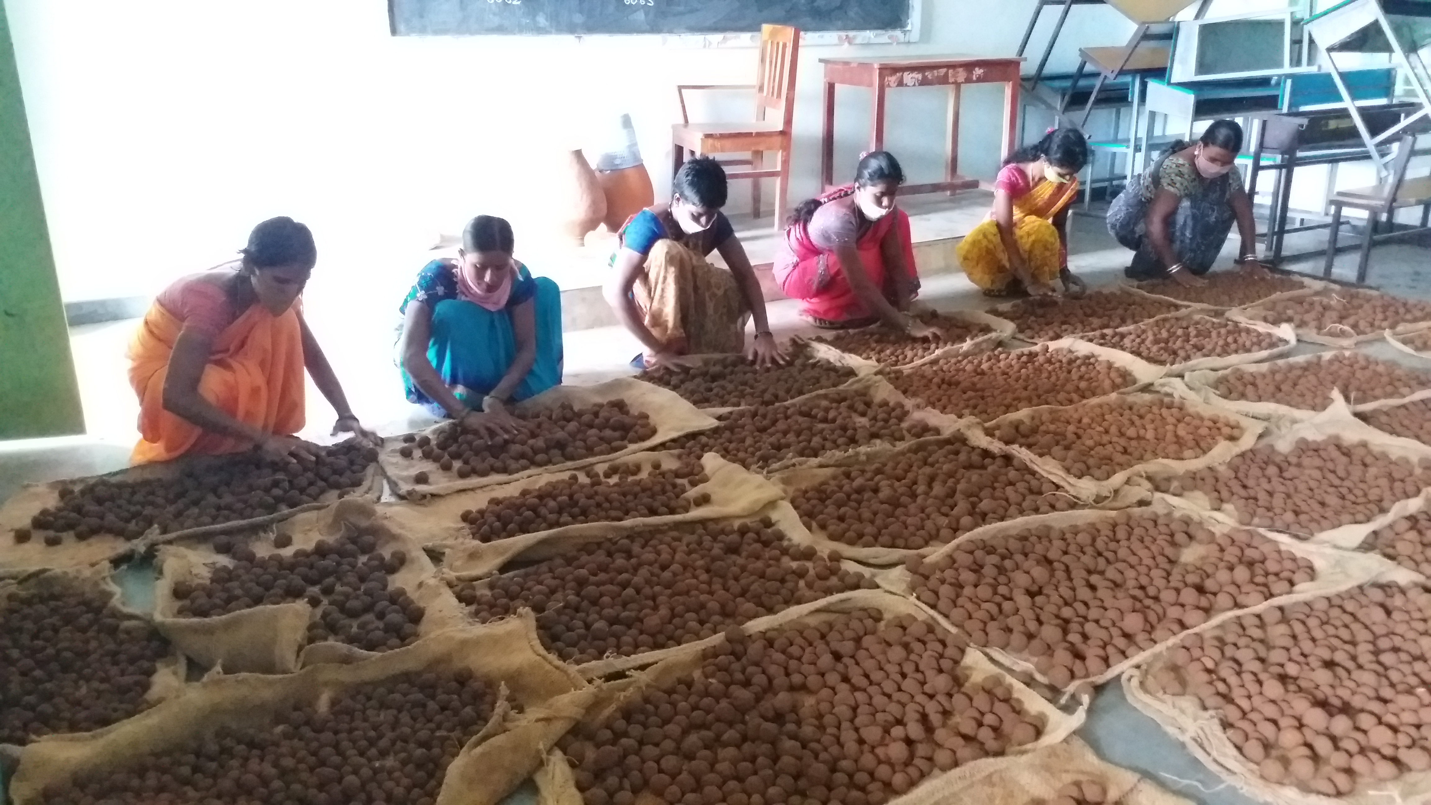 one crore seed balls made in mahabubnagar district