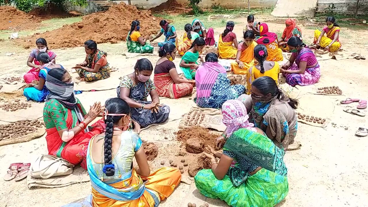 one crore seed balls made in mahabubnagar district