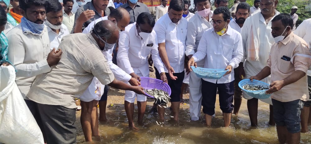 MLA Abraham left five lakh fish in the dam